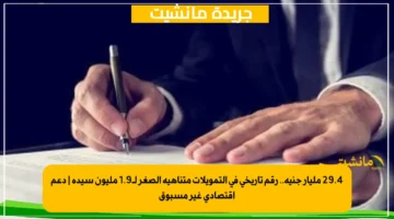 29.4 مليار جنيه.. رقم تاريخي في التمويلات متناهية الصغر لـ1.9 مليون سيدة دعم اقتصادي غير مسبوق 1